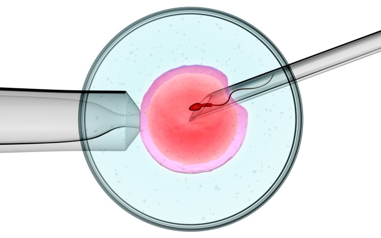 Arab Association for Fertility and Genetics