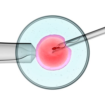 Arab Association for Fertility and Genetics